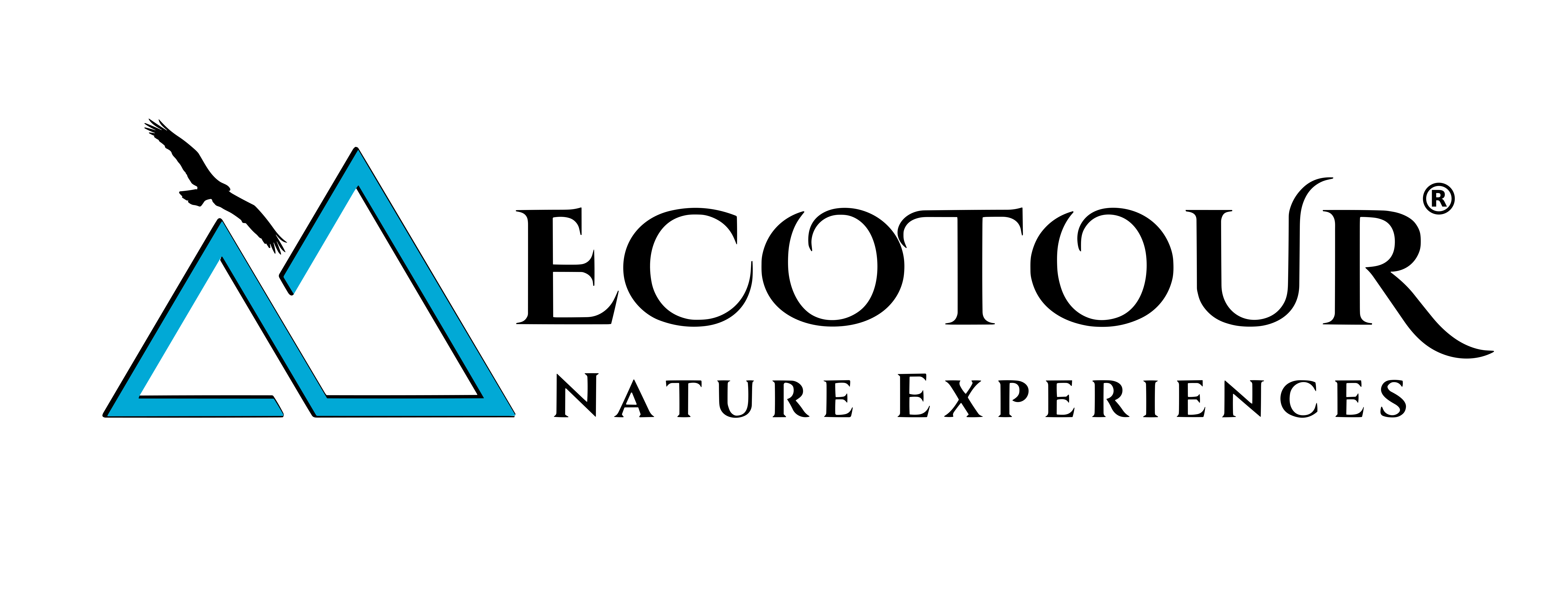 FacturaScripts